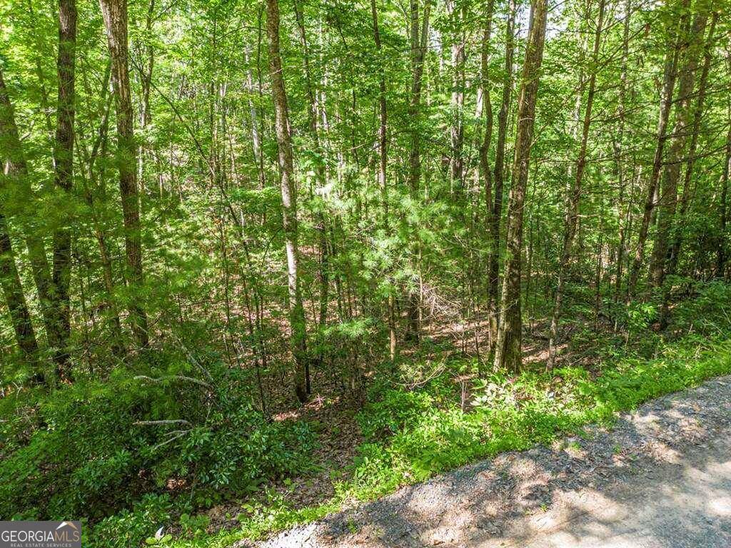 Mineral Bluff, GA 30559,0 Oak LOOP