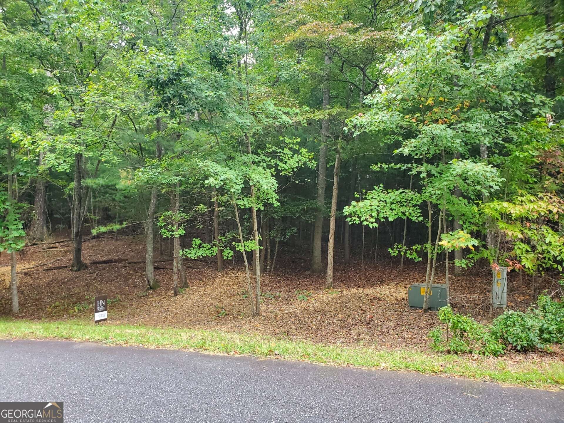 Blairsville, GA 30512,LOT 42 Arrowood Pointe