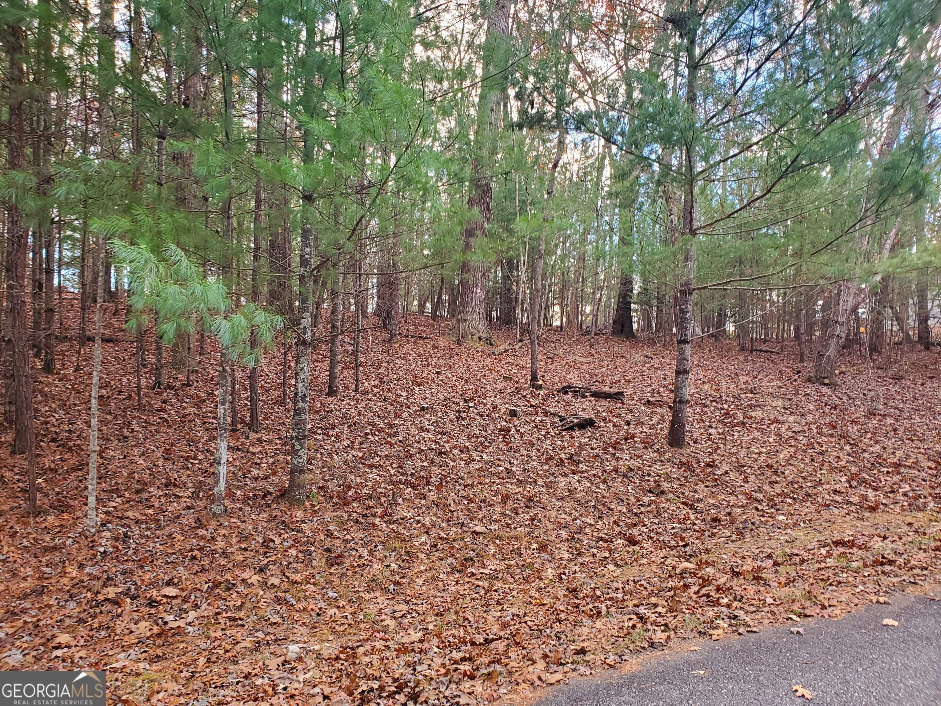 Blairsville, GA 30512,LOT 42 Arrowood Pointe