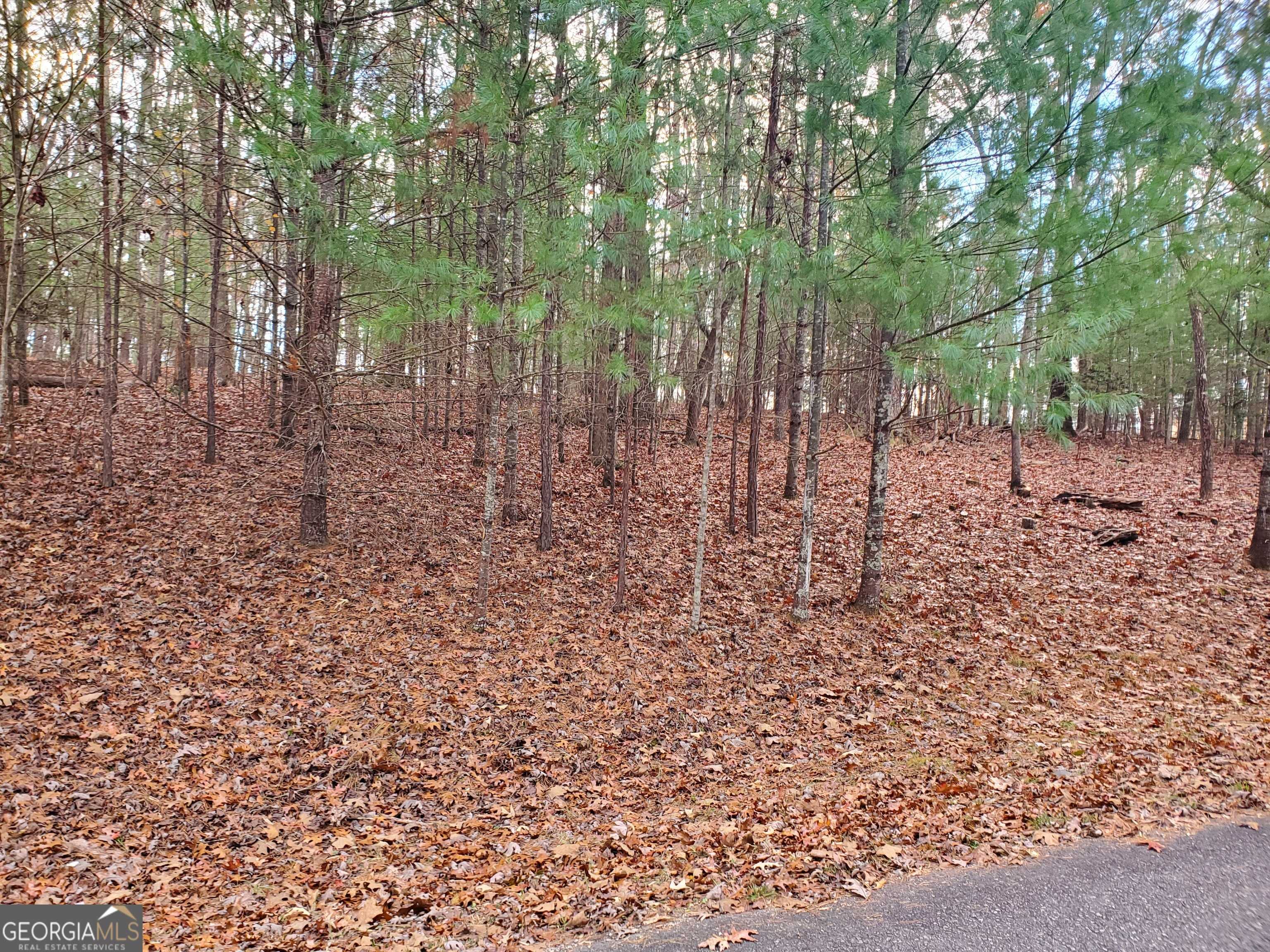 Blairsville, GA 30512,LOT 42 Arrowood Pointe