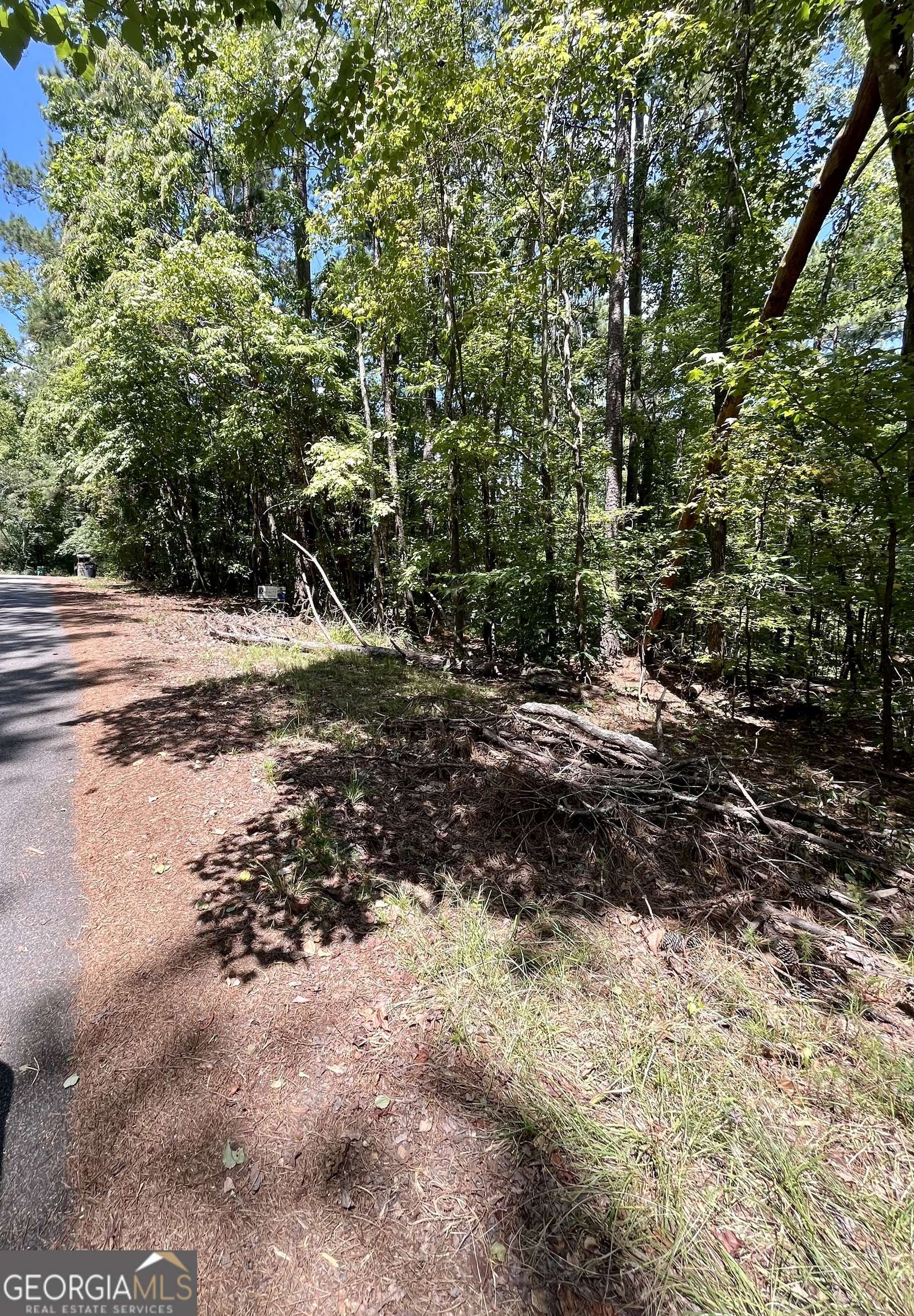 Monticello, GA 31064,0 Night Hawk Ct CT #LOT 56