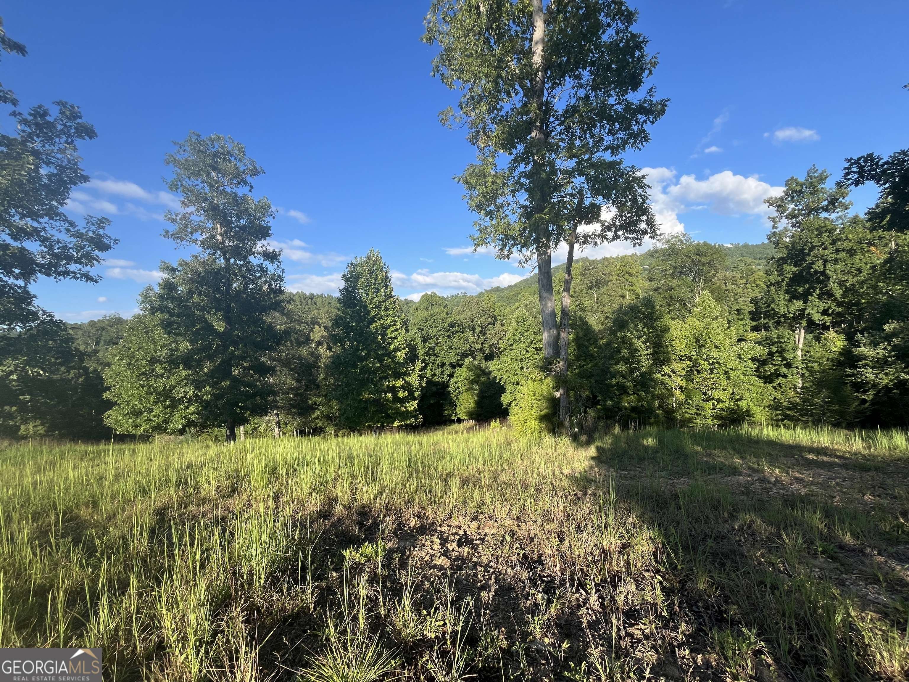 Blairsville, GA 30512,LOT 120 Riverside On Lake Nottely #120