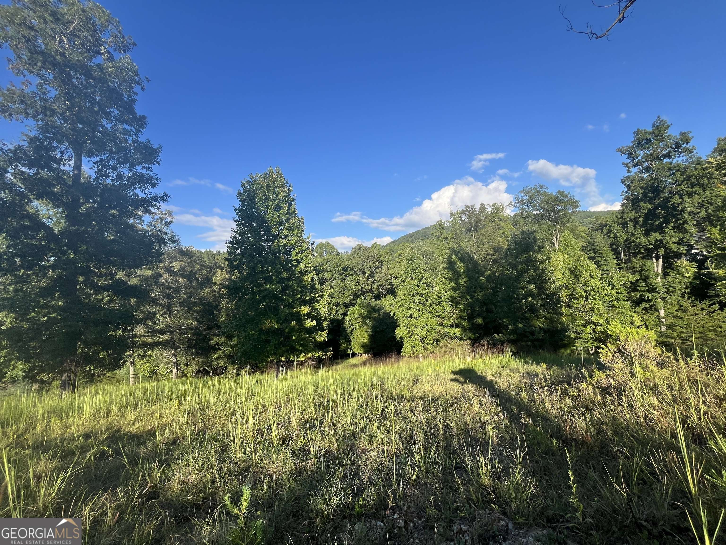 Blairsville, GA 30512,LOT 120 Riverside On Lake Nottely #120