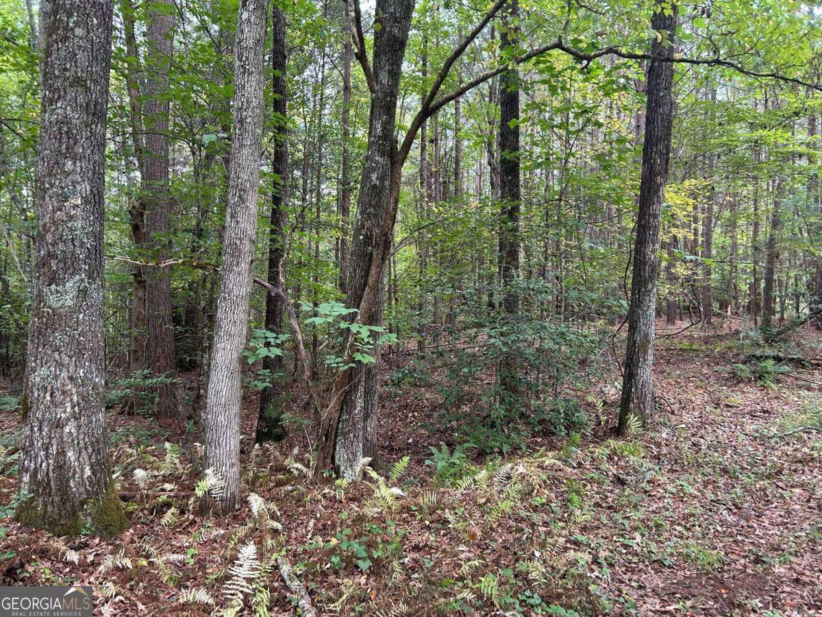 Mccaysville, GA 30555,21.43AC Blue Tick RD #10,15