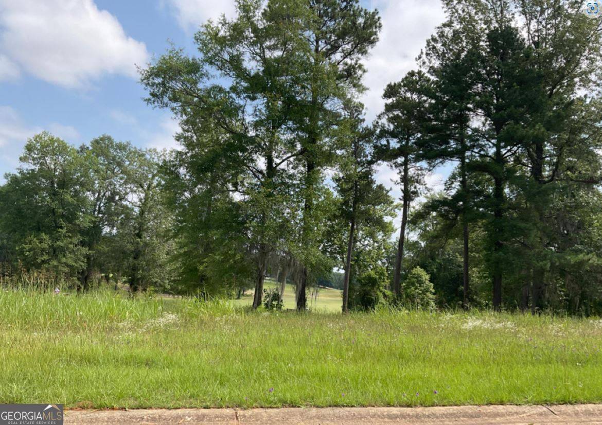 Hawkinsville, GA 31036,LOT 2 River Ridge DR