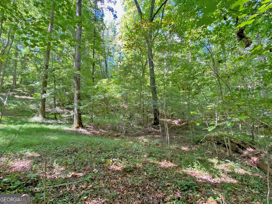 Dahlonega, GA 30533,0 Falling Pines RD