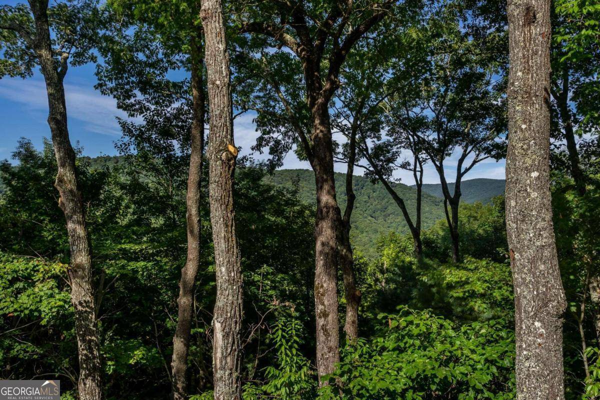 Cherry Log, GA 30522,357 Skyline