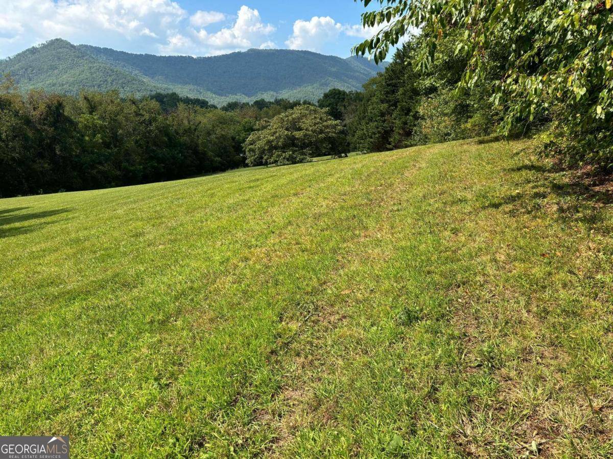 Hayesville, NC 28904,LOT 1 Mission Hill RD