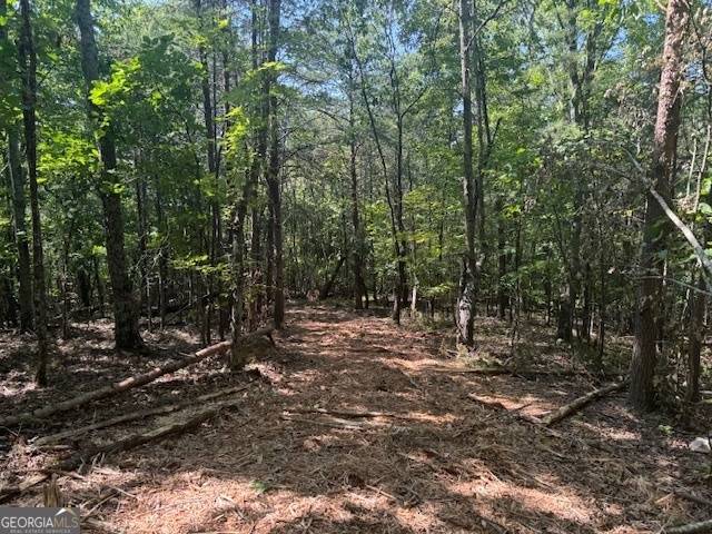 Rydal, GA 30171,PARCEL #2 Cherokee Hills DR #186 ACRES