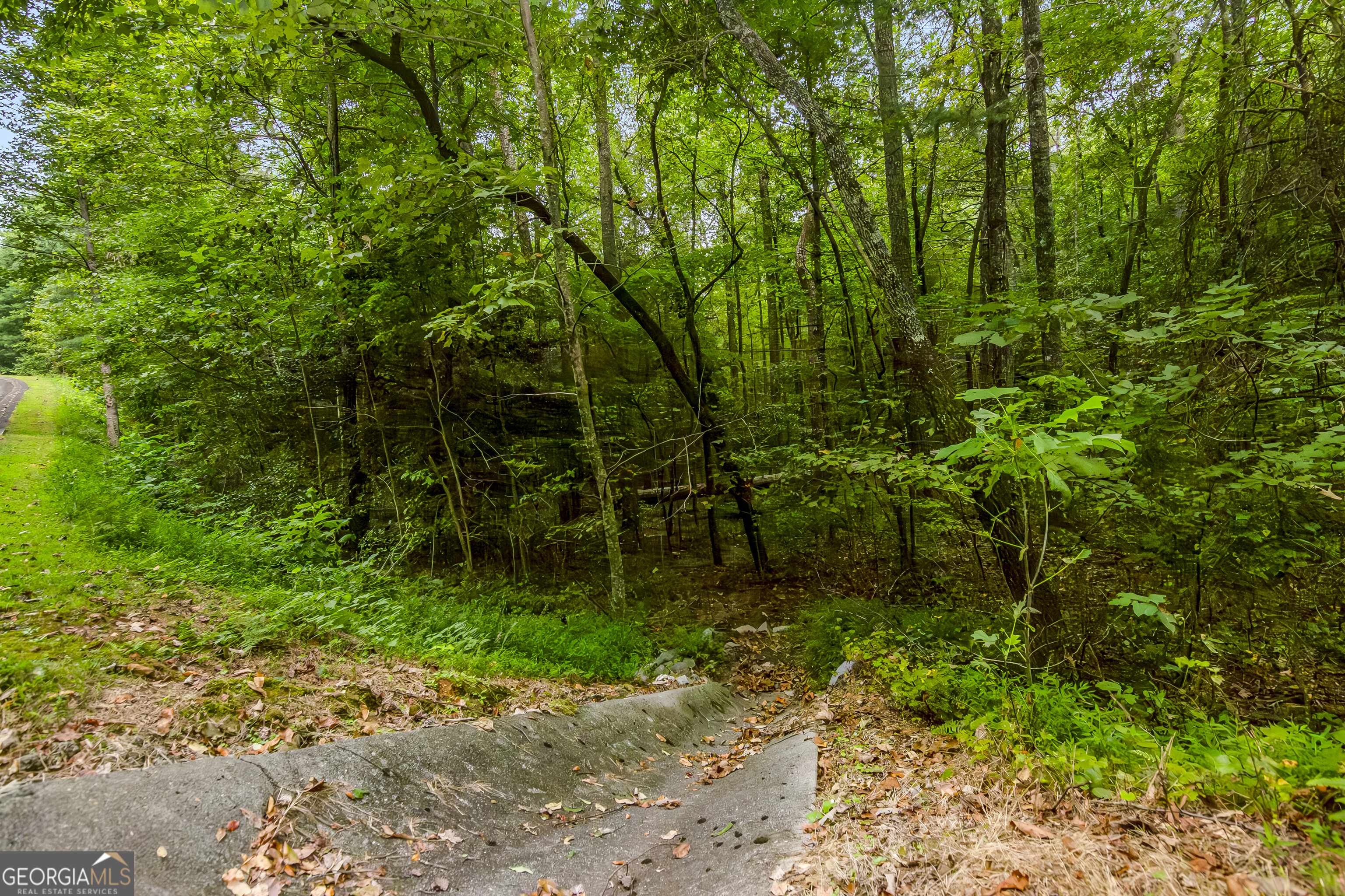 Ellijay, GA 30540,LOT 45 Abbott Mill Road