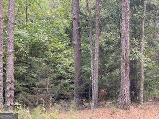 Hartwell, GA 30643,0 Highland lot 3