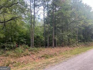 Hartwell, GA 30643,0 Highland lot 4