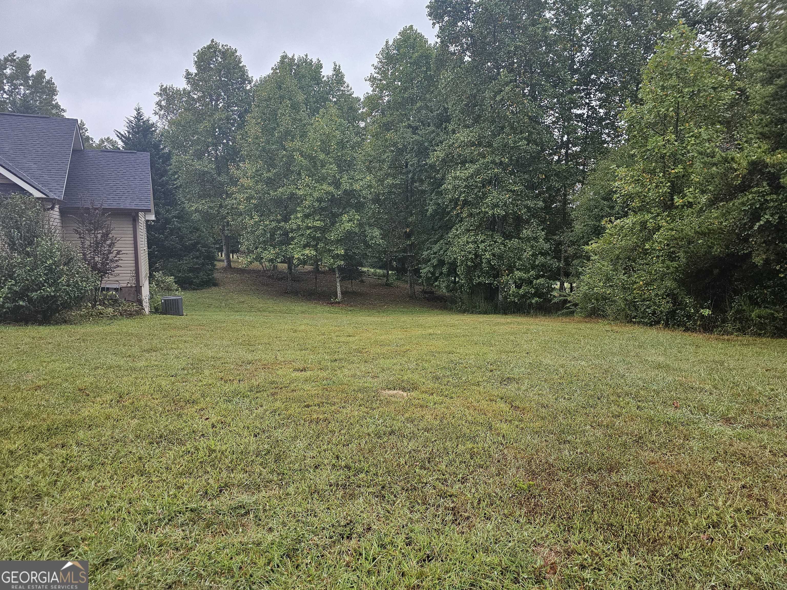 Demorest, GA 30535,325 Panacea CT