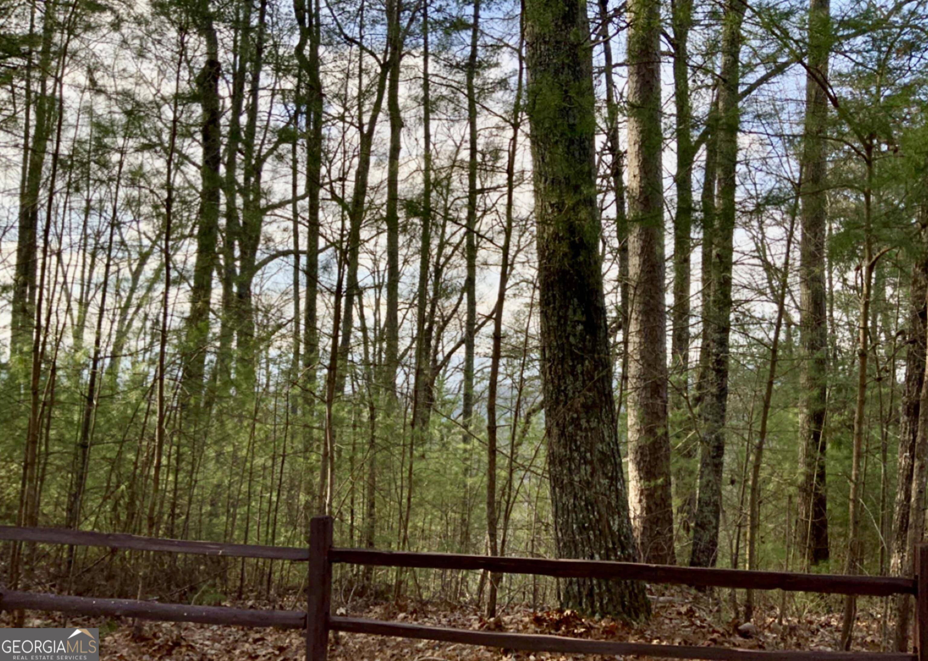 Cherry Log, GA 30522,LOT 17 CROCKETT Laurel Creek TRL