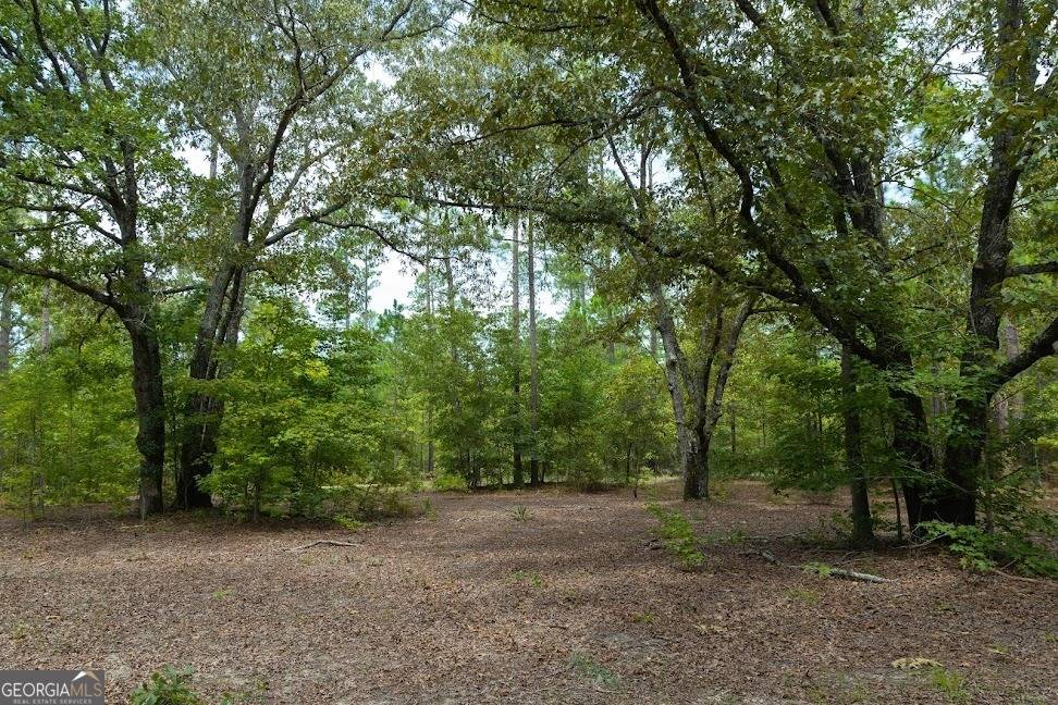 Buena Vista, GA 31803,50+/- ACRES Pineville RD