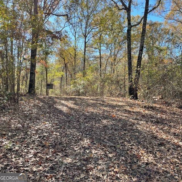 Buena Vista, GA 31803,46+/- ACRES Pineville RD