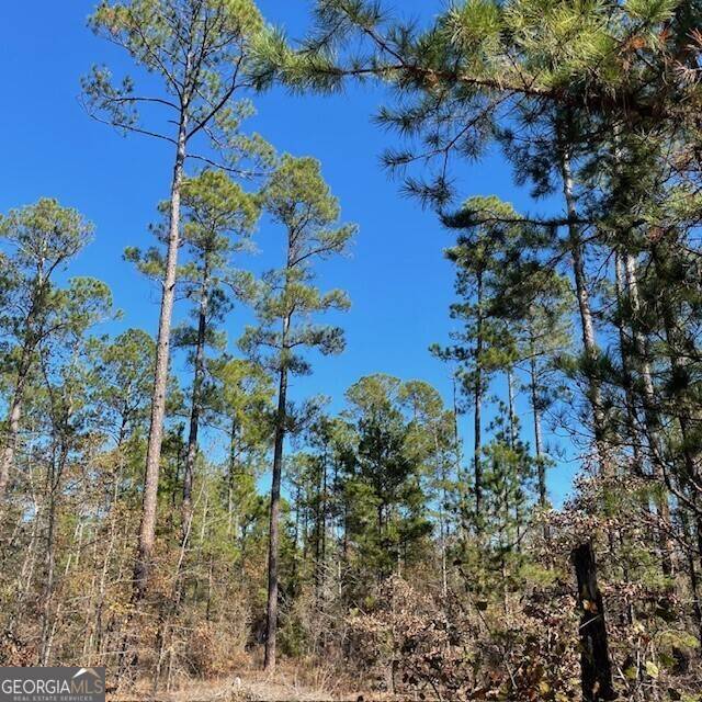 Buena Vista, GA 31803,46+/- ACRES Pineville RD