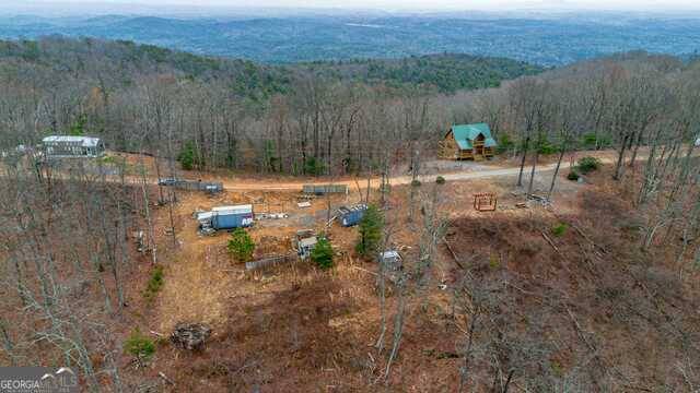 Ellijay, GA 30540,475 Dowel Circle