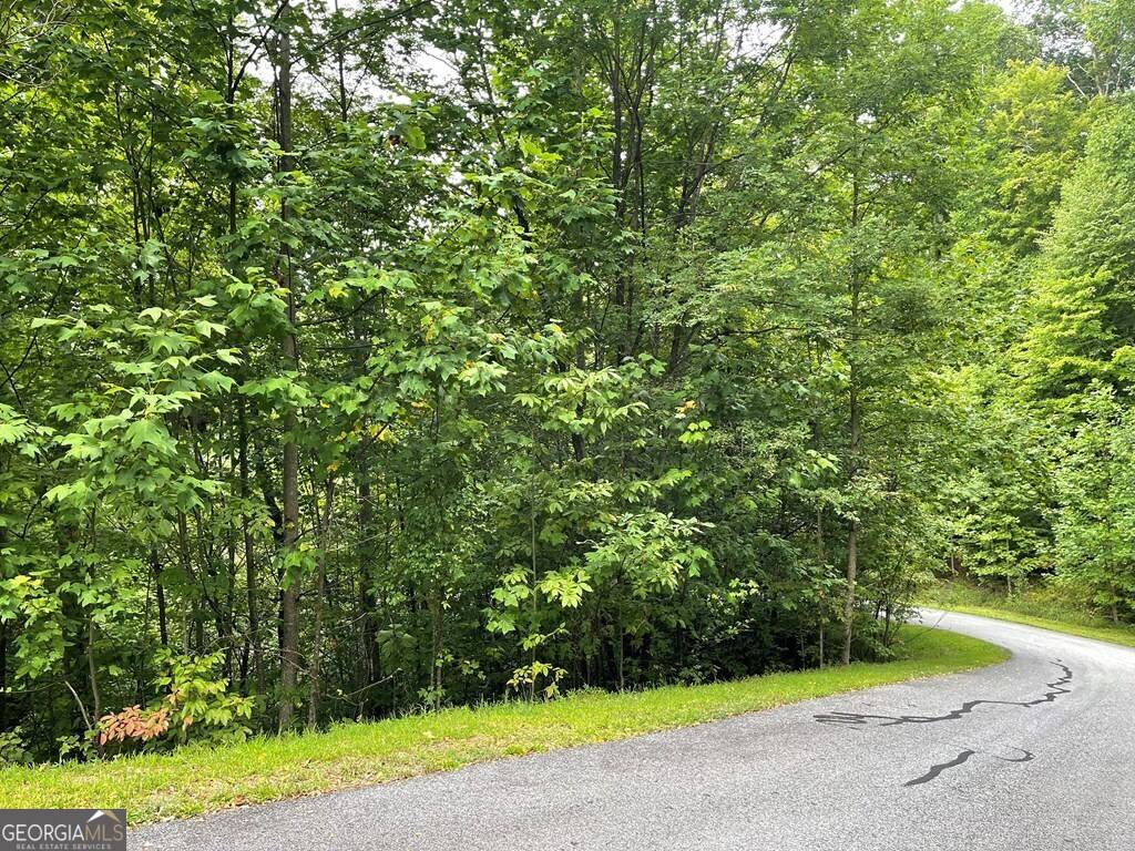 Hayesville, NC 28904,LOT 32 J Mountain Harbour