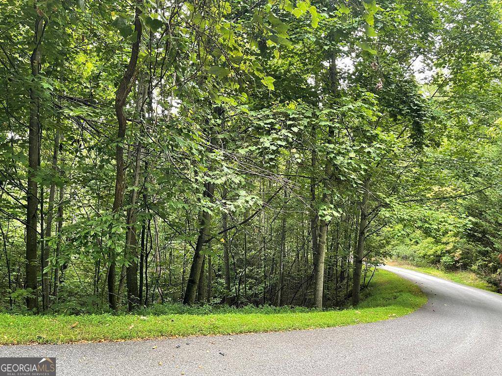 Hayesville, NC 28904,LOT 32 J Mountain Harbour