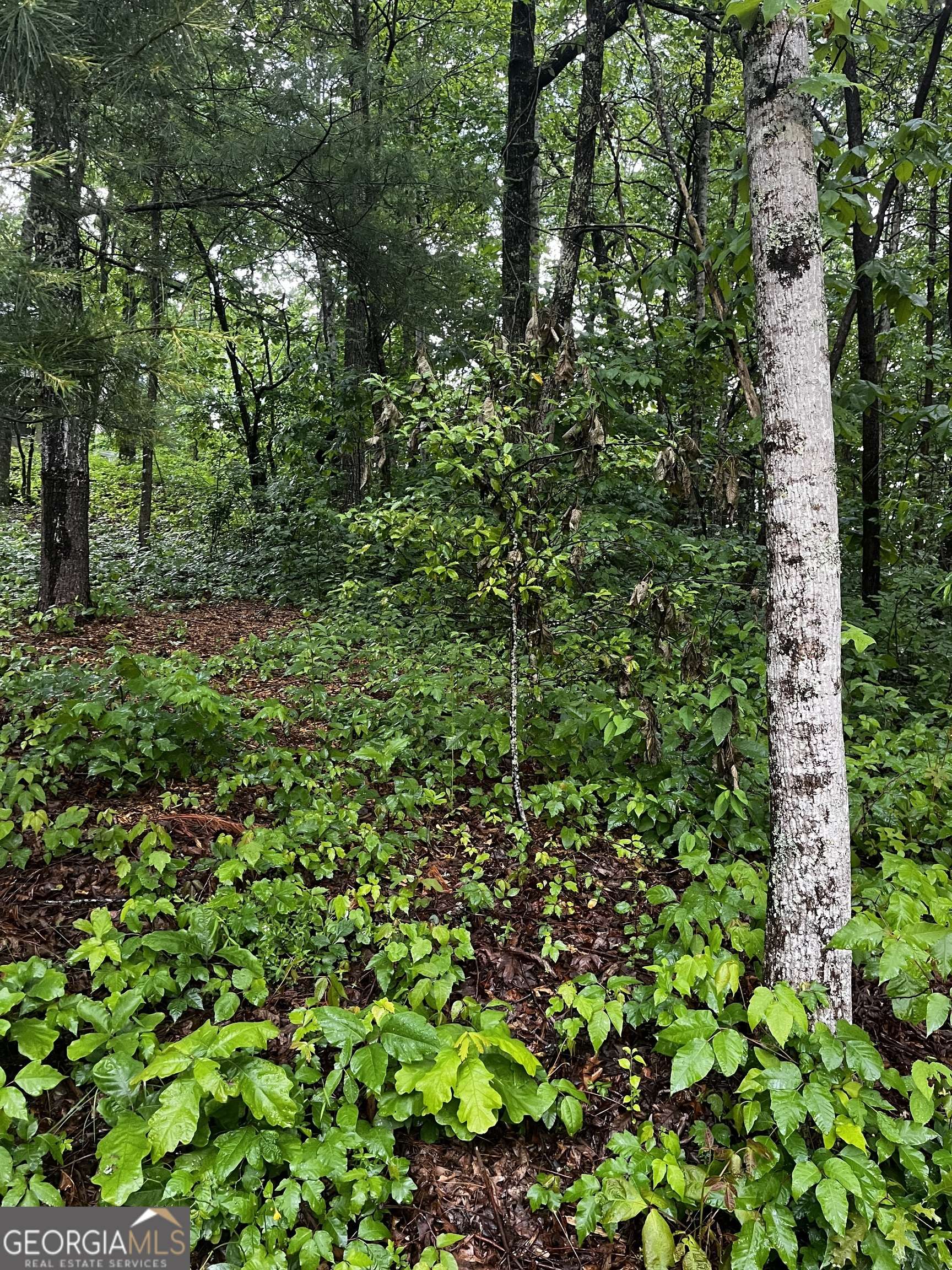 Hiawassee, GA 30546,LOT 9 Mcridge Drive