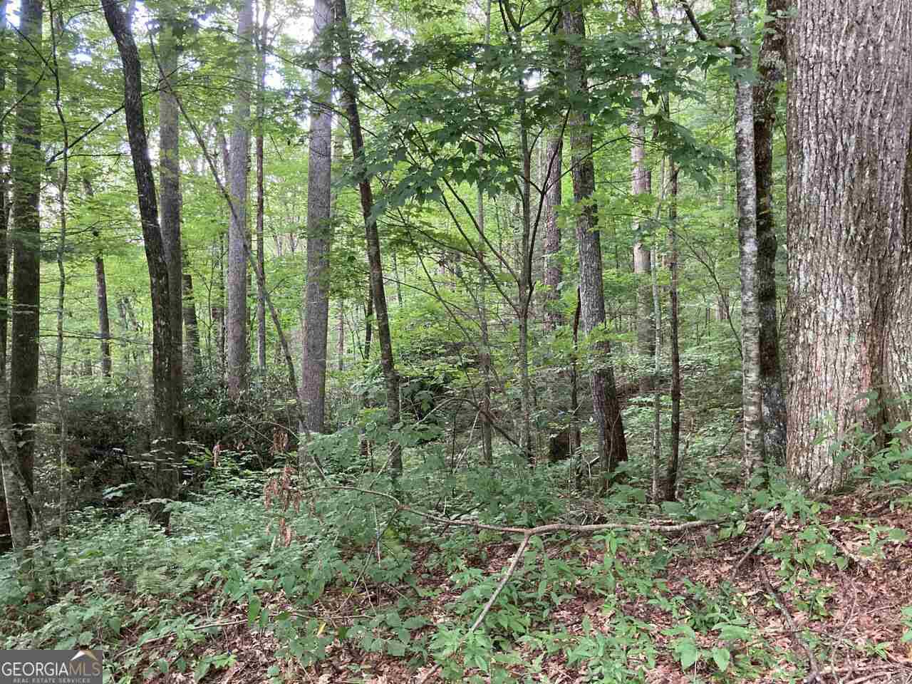 Sky Valley, GA 30537,0 Walking Bear Lane