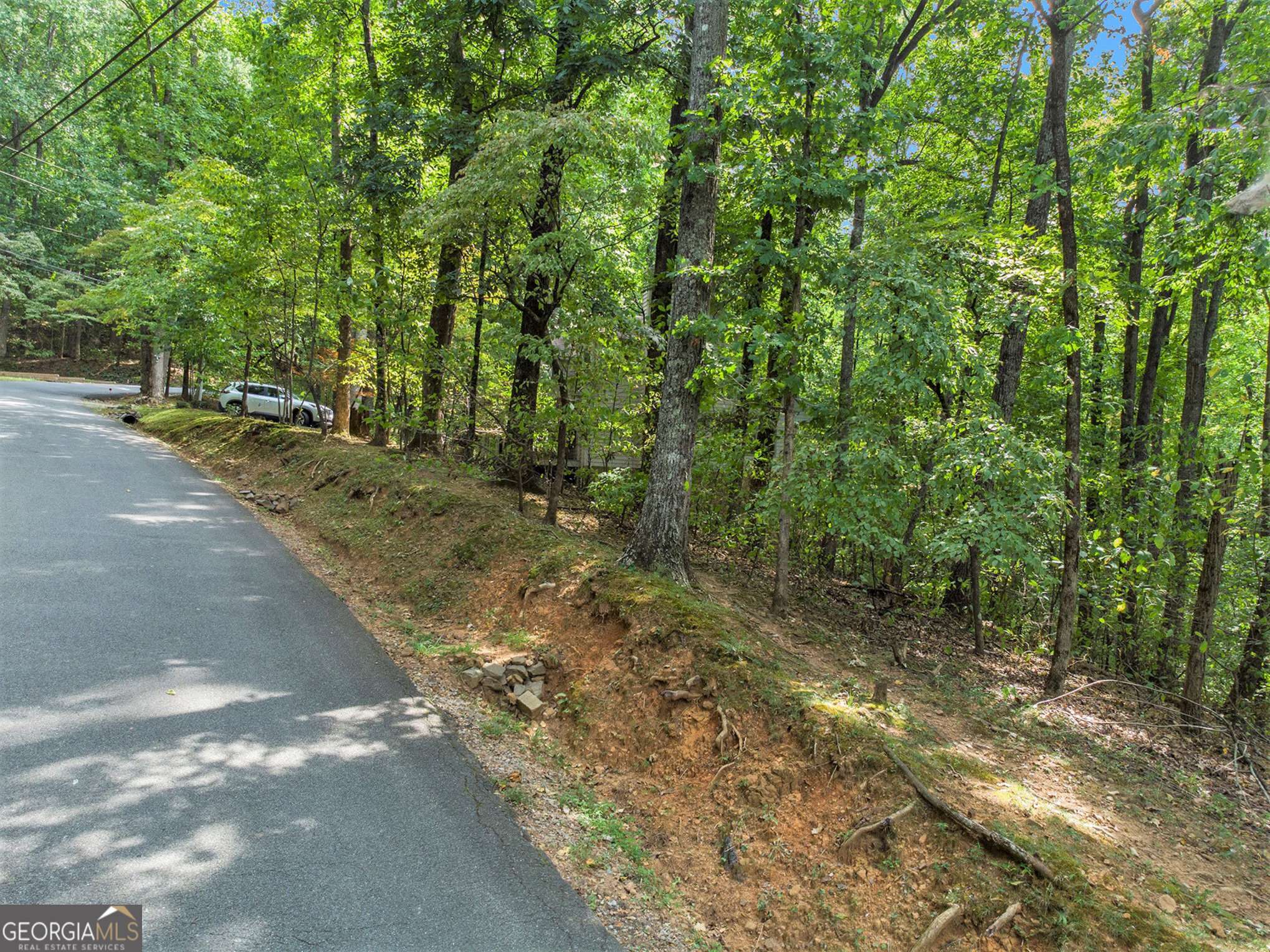 Ellijay, GA 30536,M100 Skyview DR