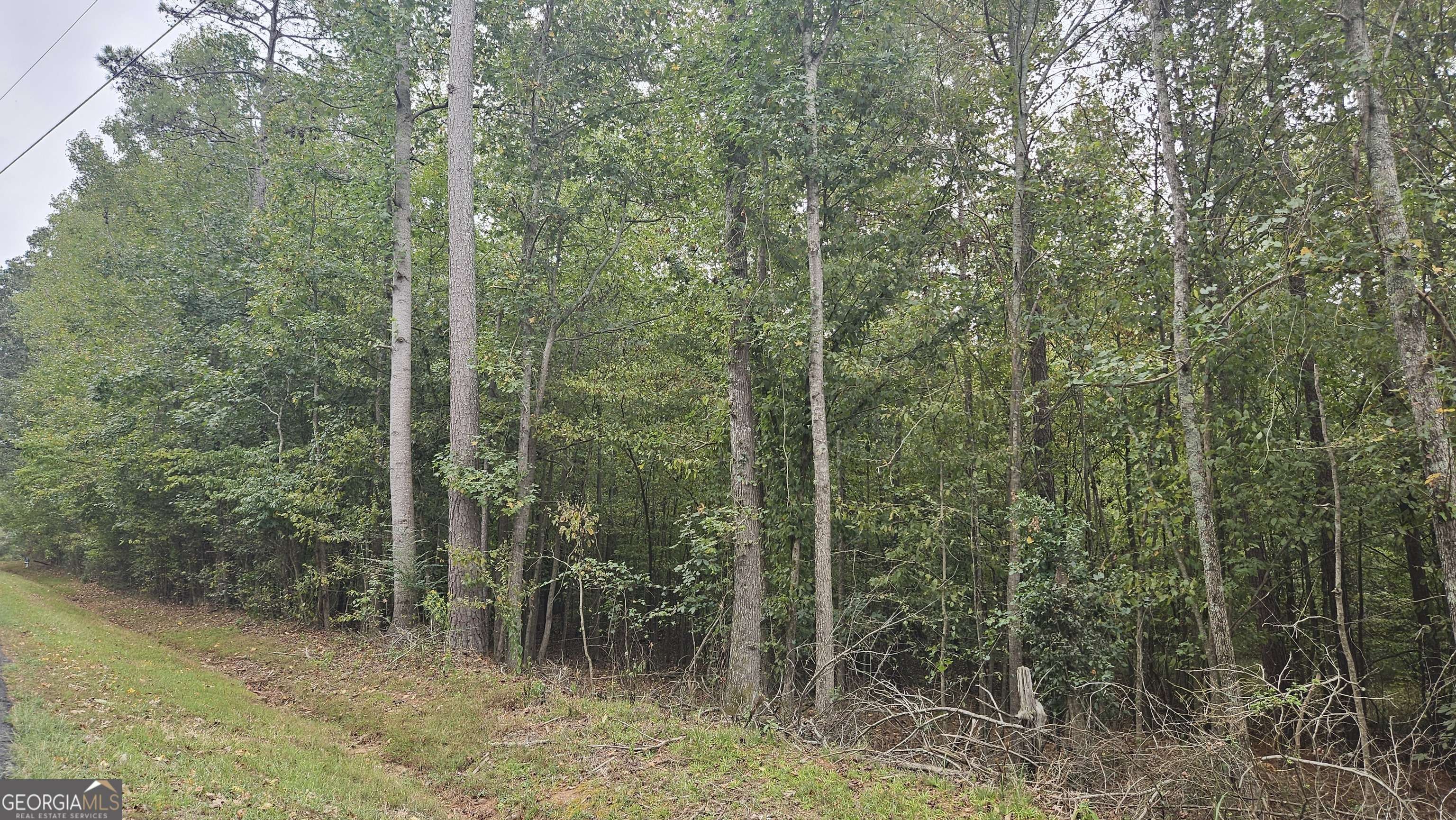 Jefferson, GA 30549,0 Lebanon Church Road, LOT 14 #LOT 14