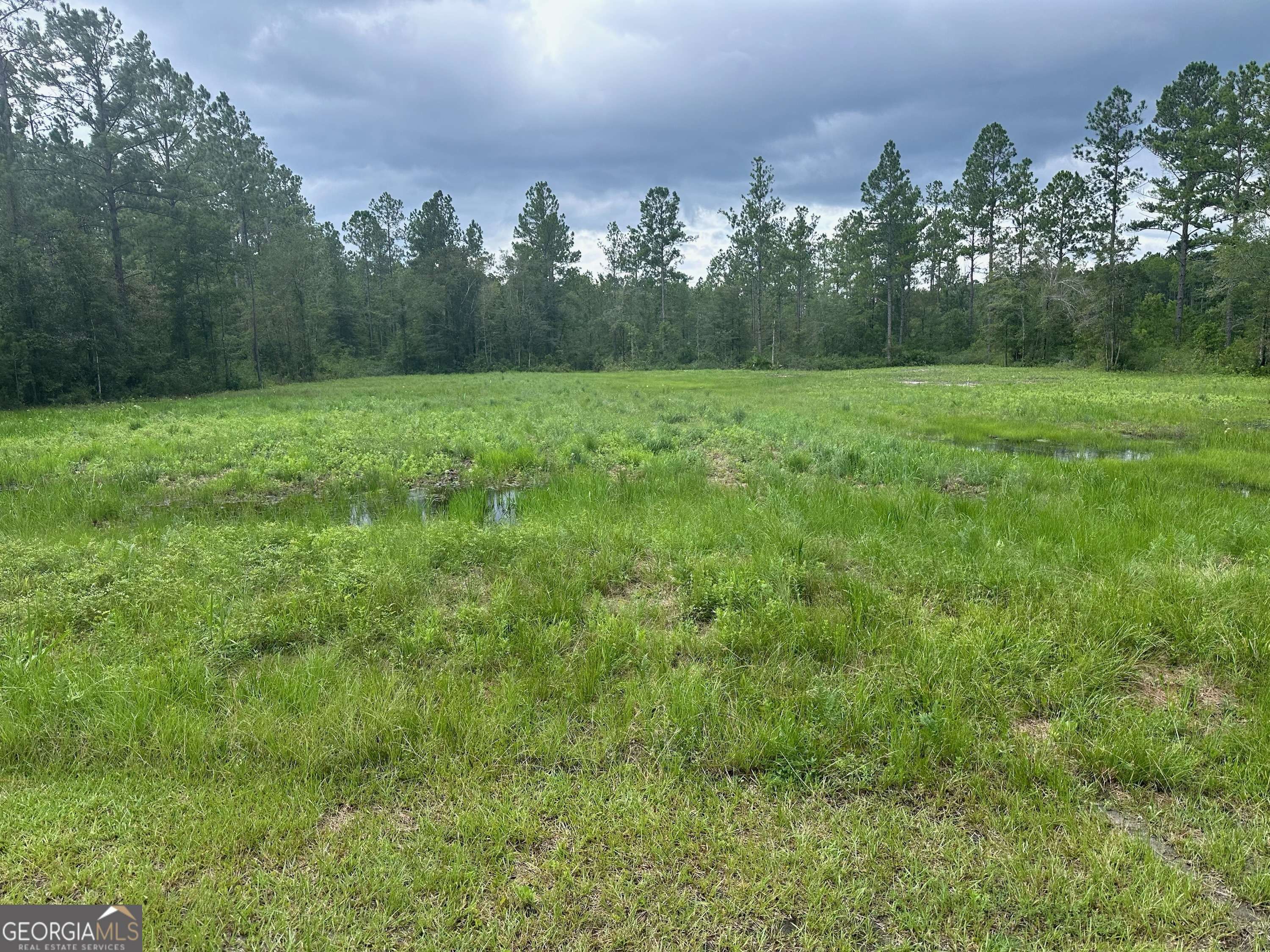 White Oak, GA 31568,LOT 6 O P LN