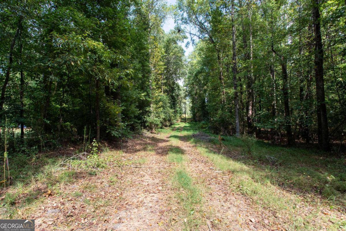 Winterville, GA 30683,0 Beaver Run RD