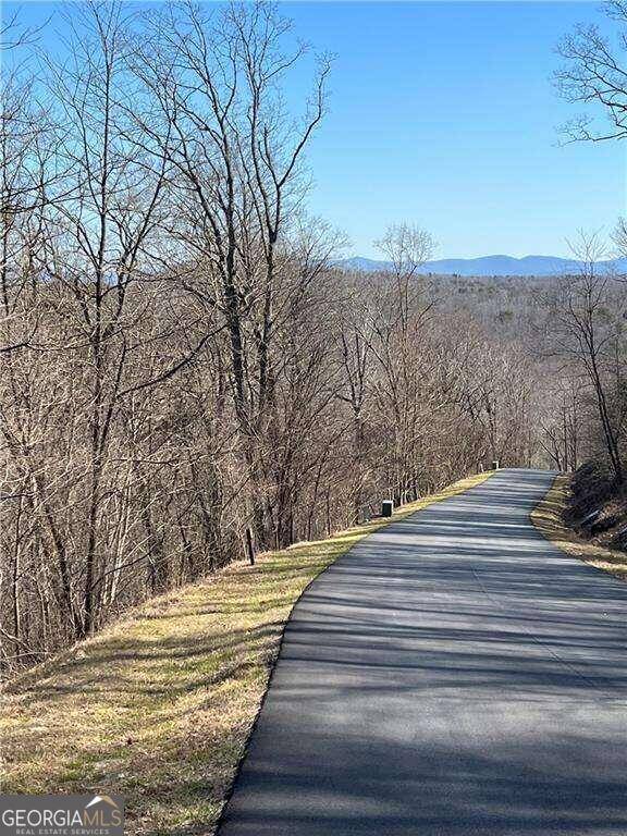 Ellijay, GA 30536,0 Andes RDG