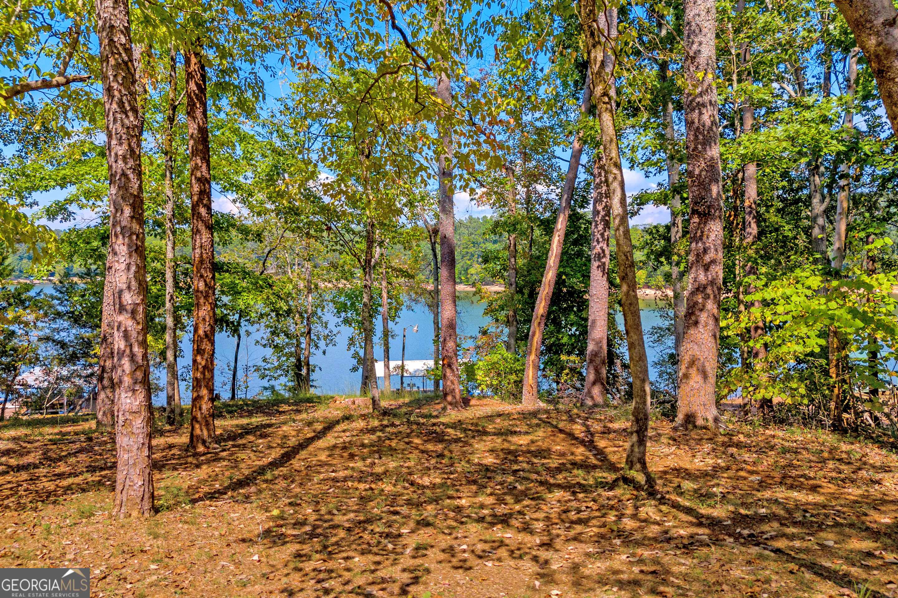 Toccoa, GA 30577,365 Shorewood CIR