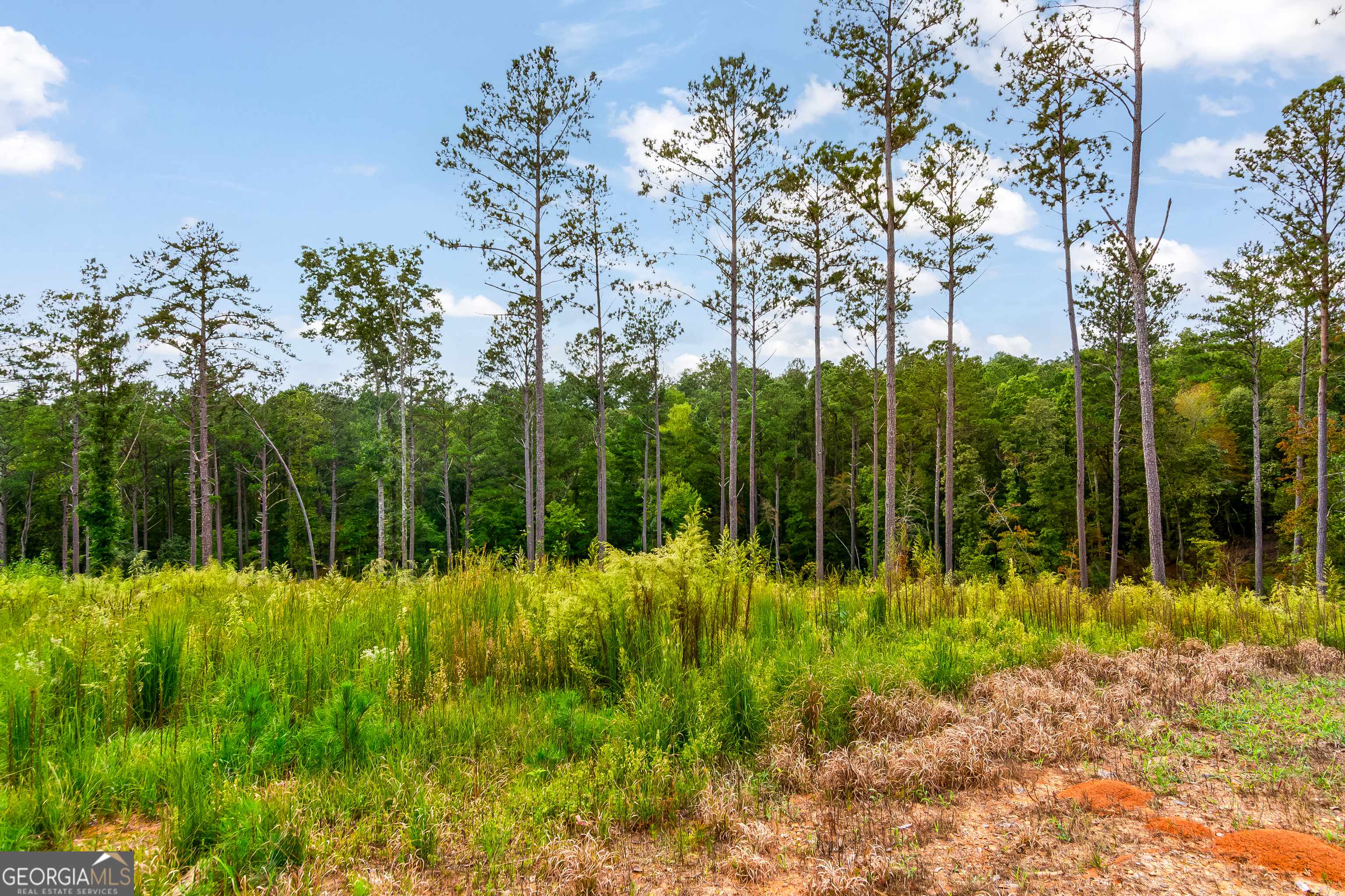 Talking Rock, GA 30175,LOT 92 Blalock Mountain Rd