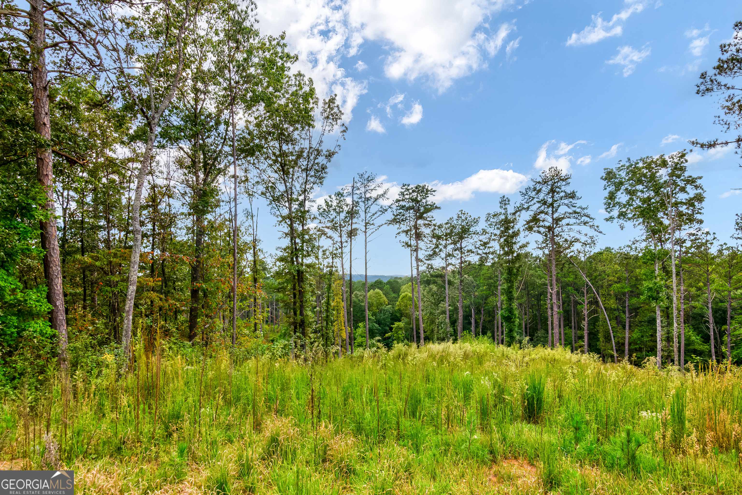 Talking Rock, GA 30175,LOT 92 Blalock Mountain Rd