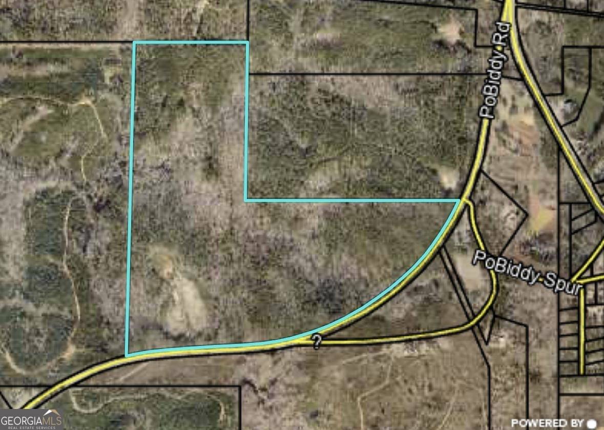 Thomaston, GA 30286,103 ACRES Pobiddy RD