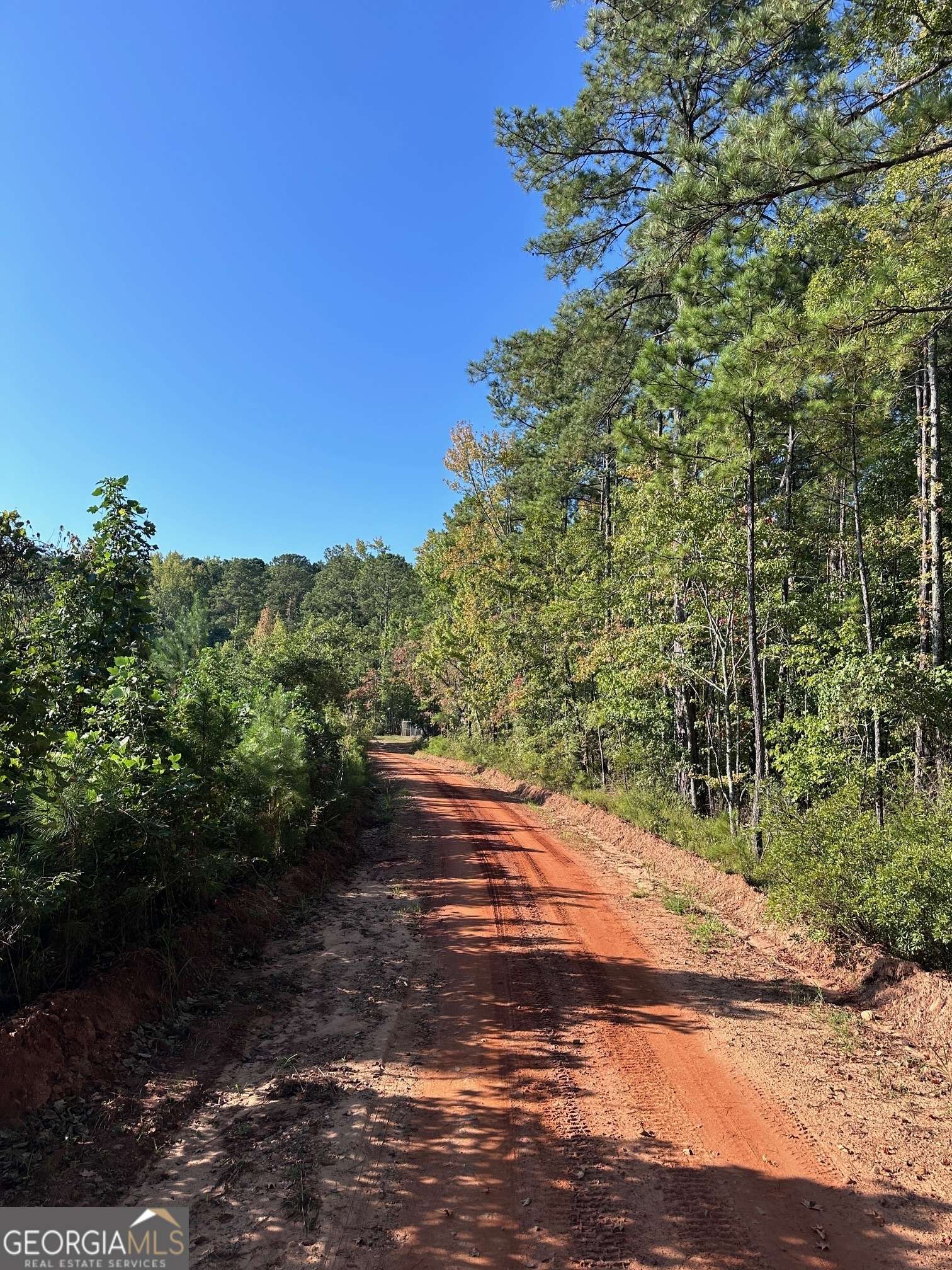 Waverly Hall, GA 31831,1.44 AC Mistletoe Trail