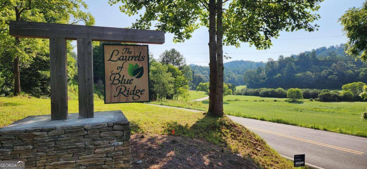 Mineral Bluff, GA 30559,LOT 18 Mountain Laurel Ridge