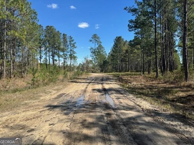 Waycross, GA 31503,TRACT 87 Bertran Trail