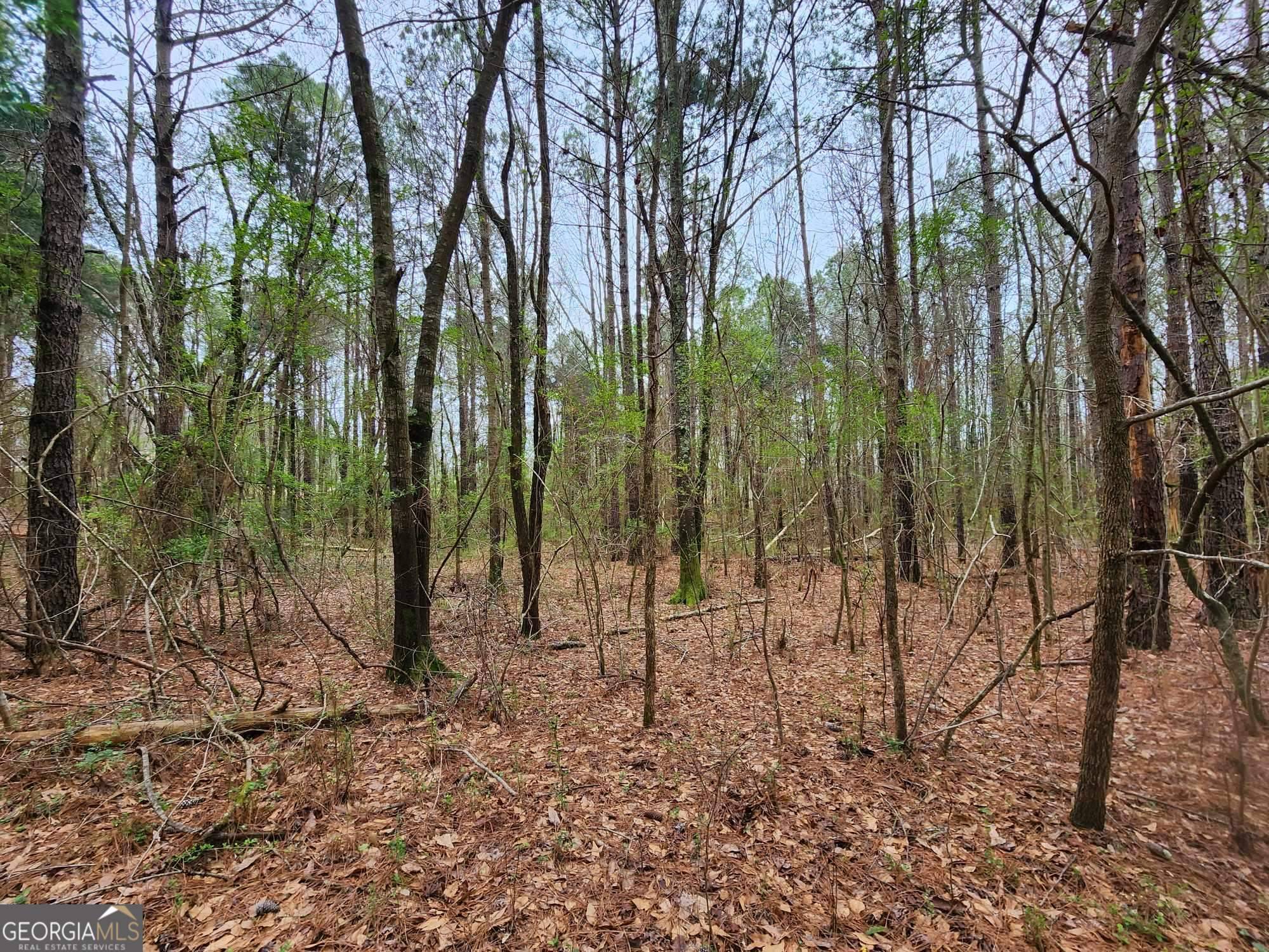 Thomaston, GA 30286,LOT 19 Smith RD