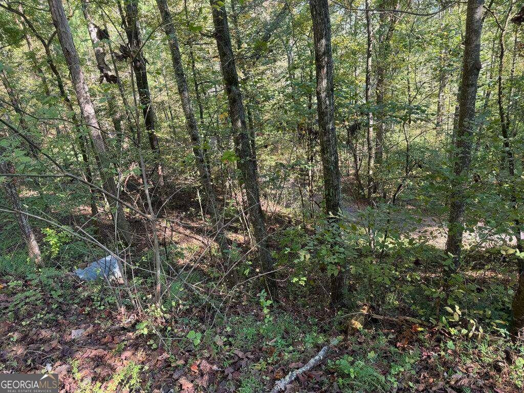 Talking Rock, GA 30175,0 Marie Drive Lot 1675A