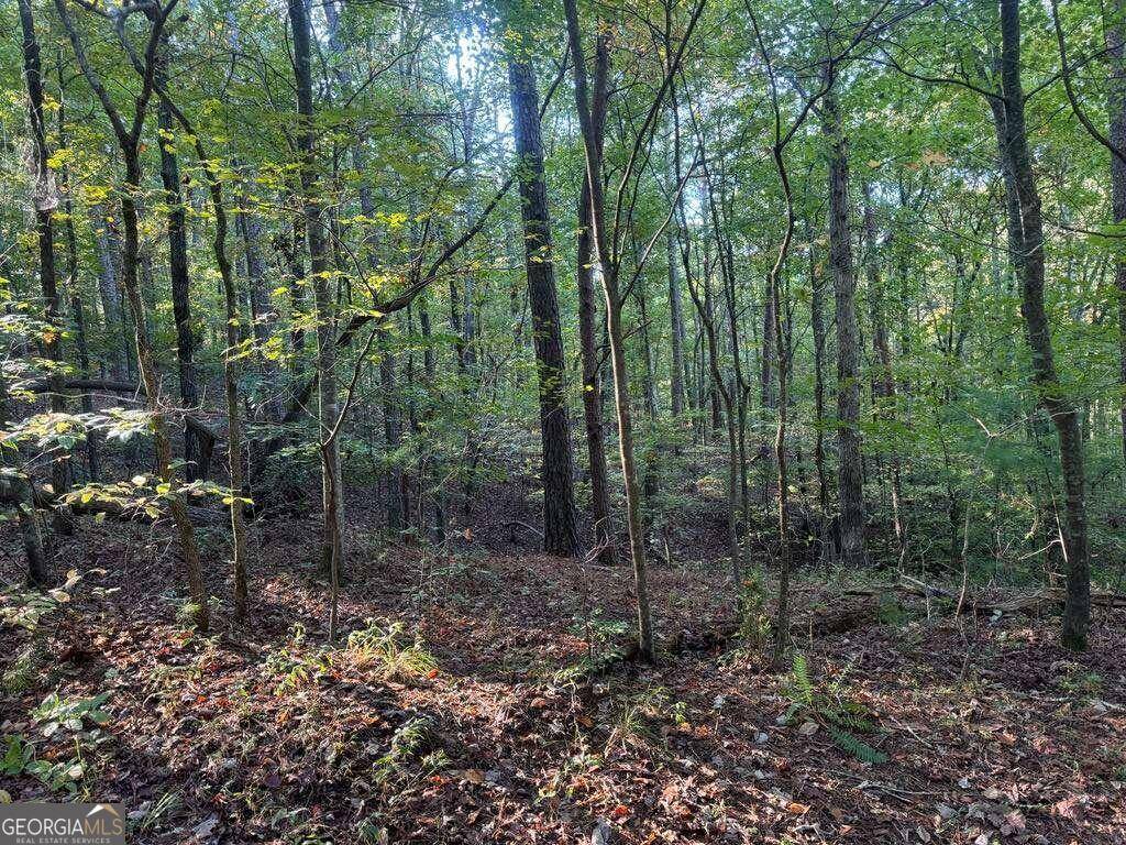 Talking Rock, GA 30175,0 Rebekah Ridge Lot 1714