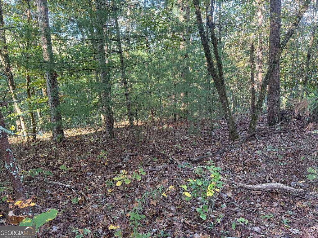 Talking Rock, GA 30175,0 Rebekah Ridge Lot 1714