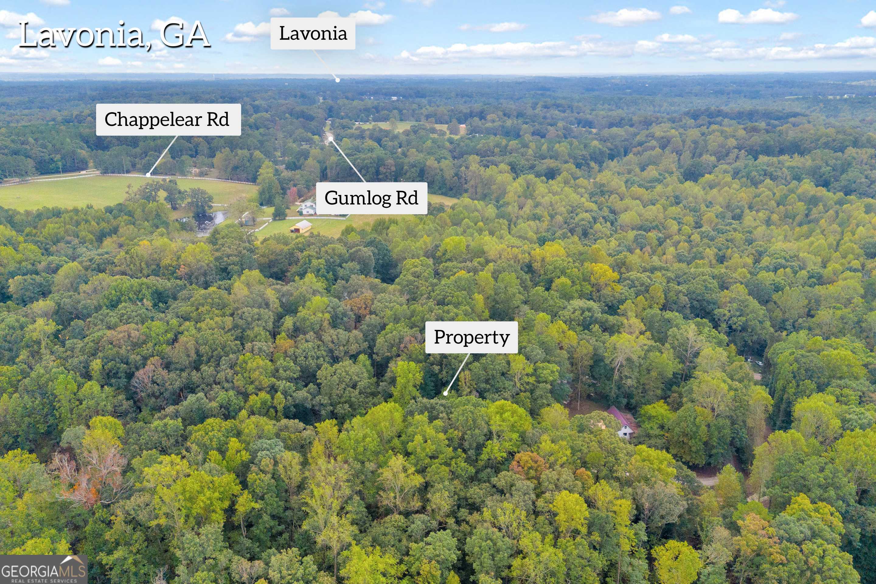 Lavonia, GA 30553,0 Ridgeview Ct.