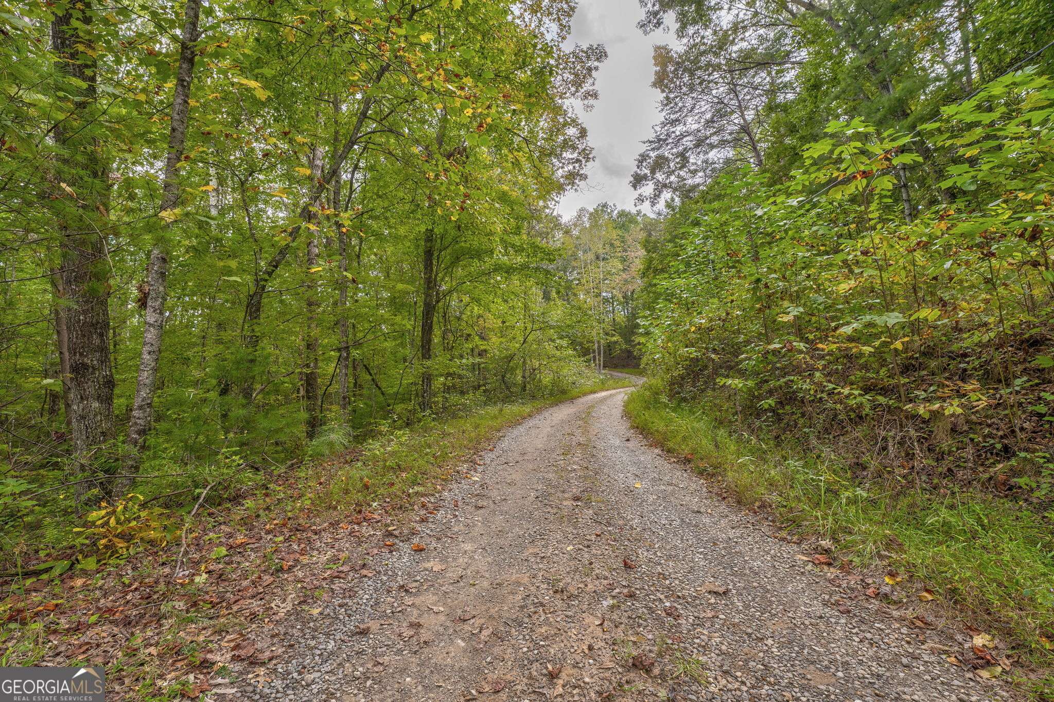 Ellijay, GA 30540,698 Quail Run RD