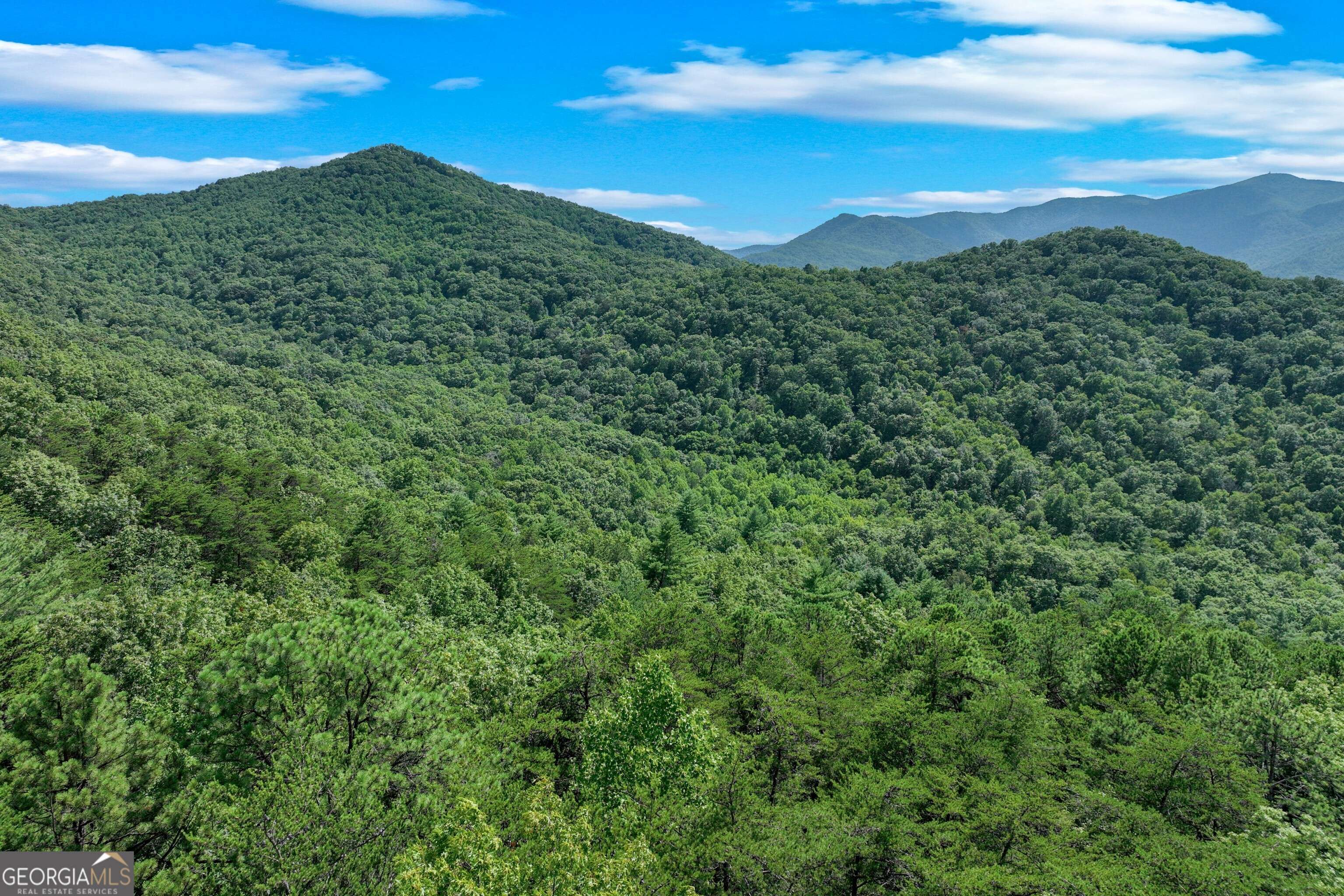 Hiawassee, GA 30546,2412 Fodder Creek Mill Drive