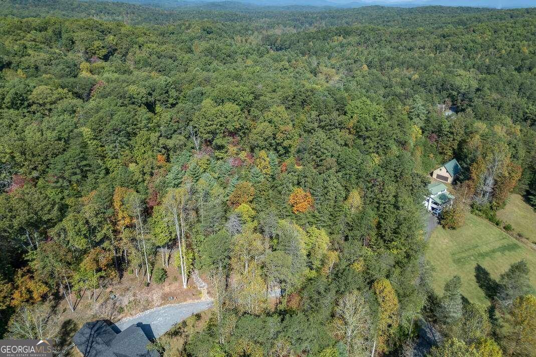 Blue Ridge, GA 30513,LOT 71 Laurel XING