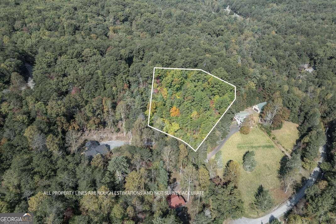 Blue Ridge, GA 30513,LOT 71 Laurel XING