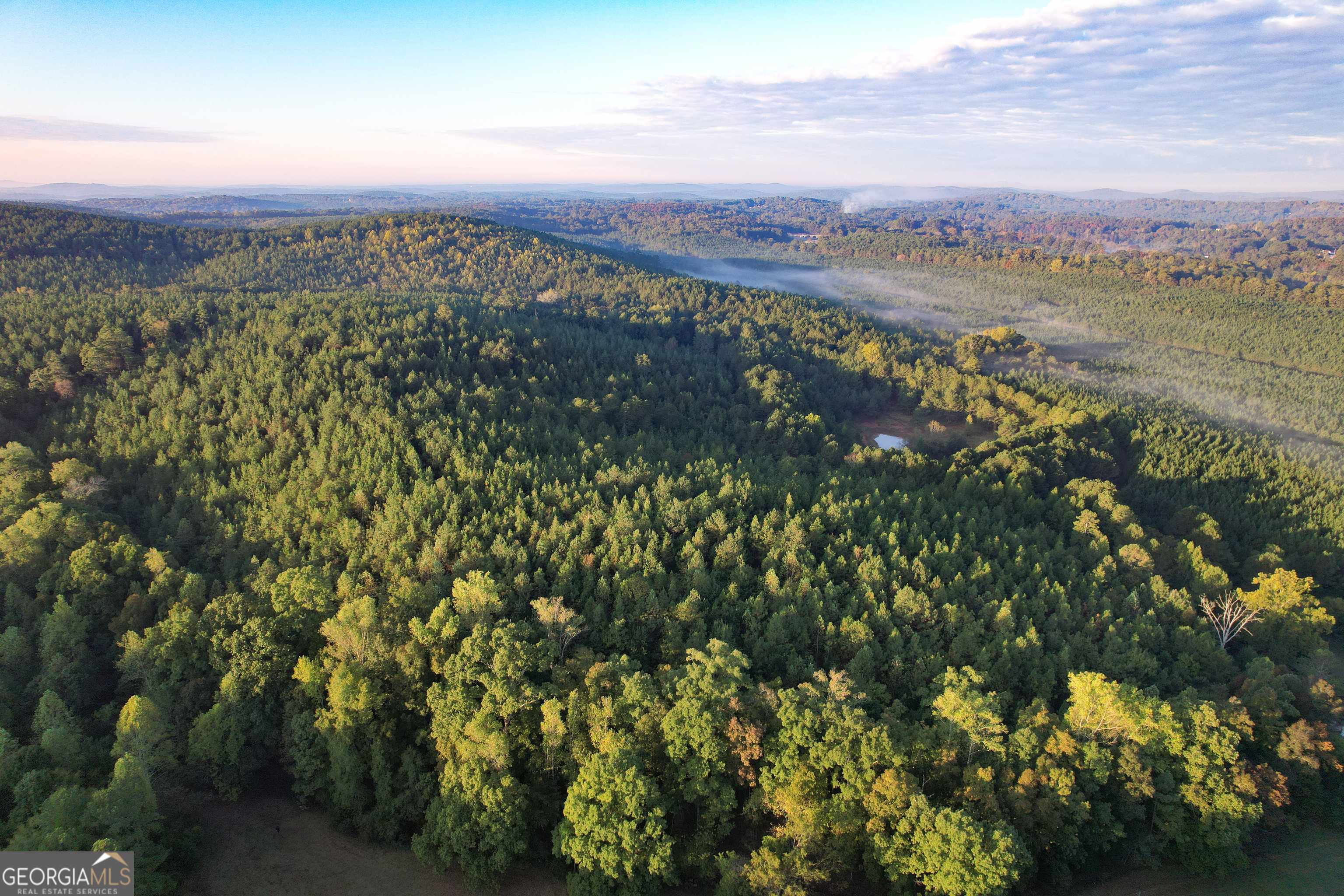 Silver Creek, GA 30173,277 +/- Acres on Dudley Road