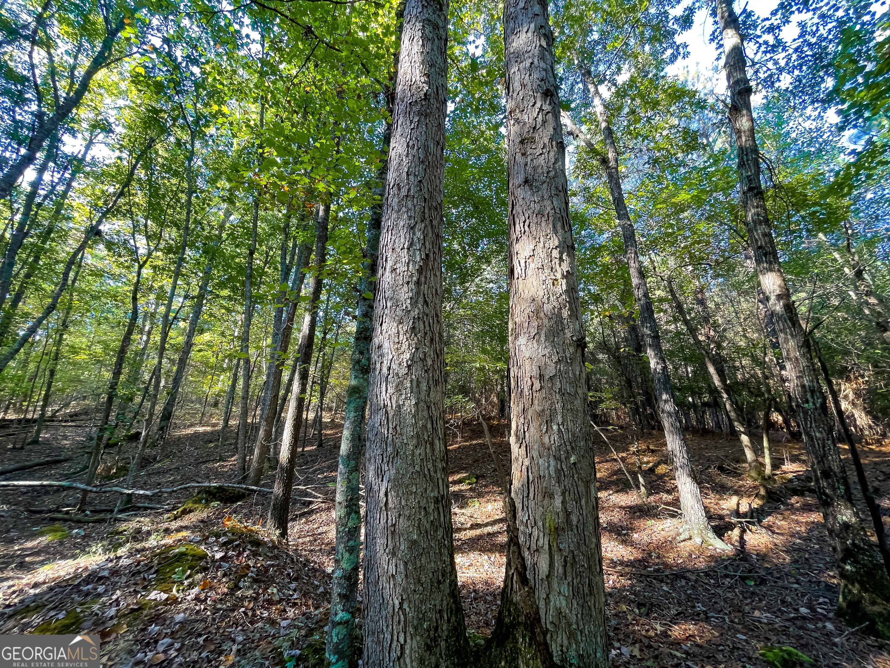 Silver Creek, GA 30173,277 +/- Acres on Dudley Road