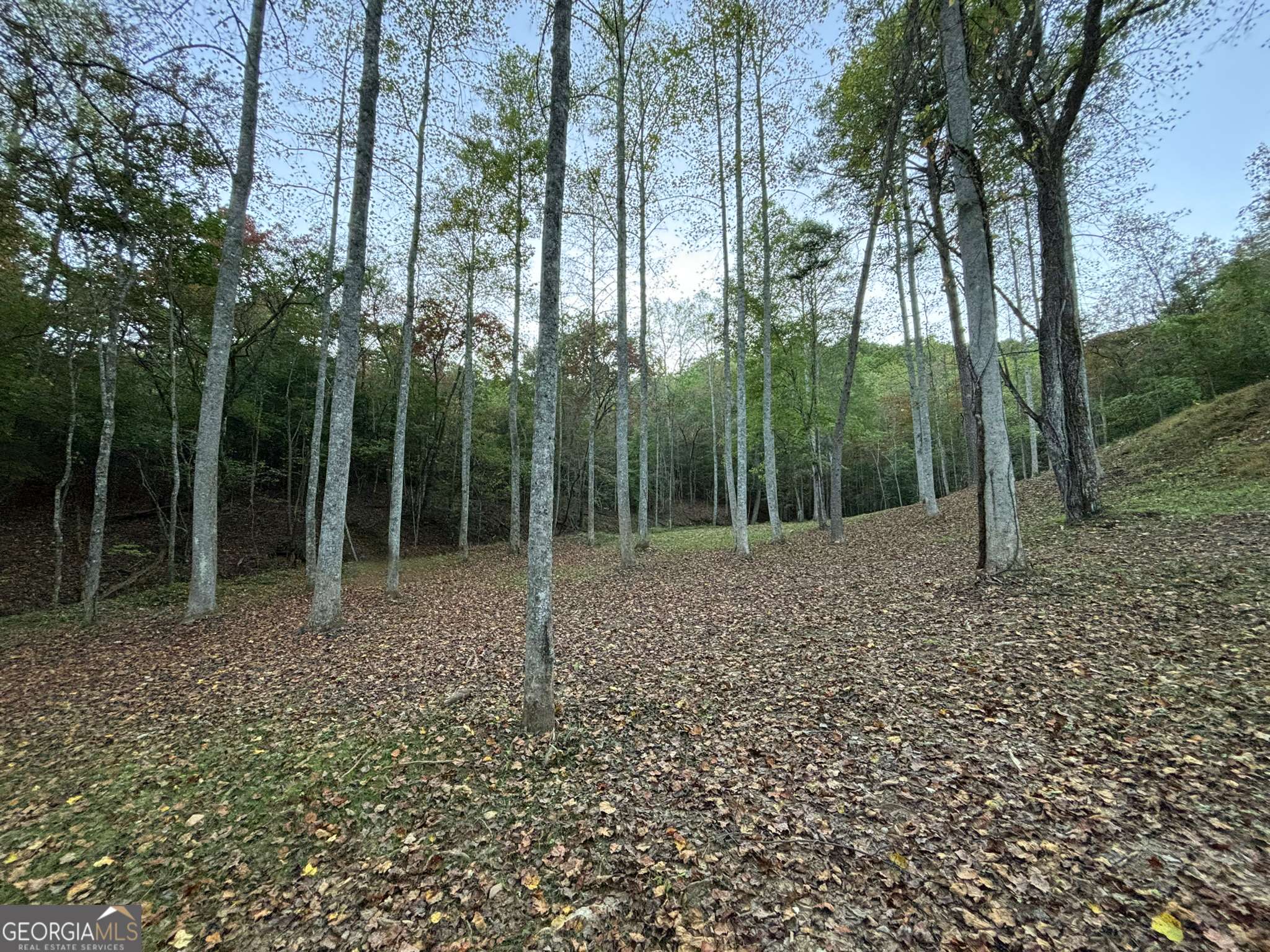 Mineral Bluff, GA 30559,10AC Humphrey Mill Rd